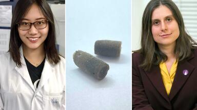 Graphene Oxide offers Promising Potential as Bone Repair Scaffold
