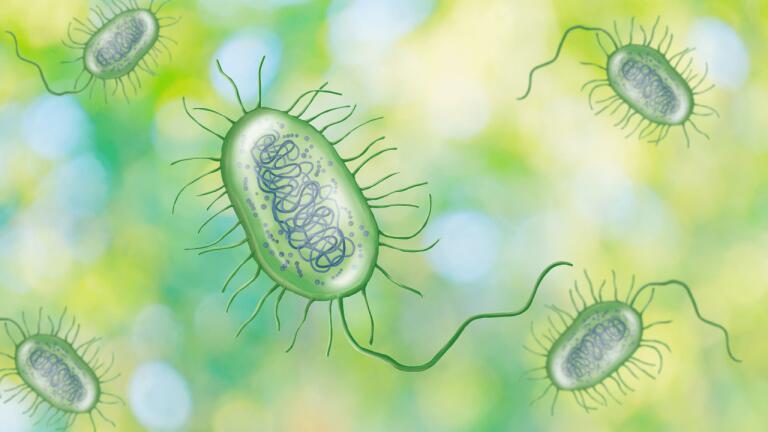 Exploring the Identities and Modifications of Proteins