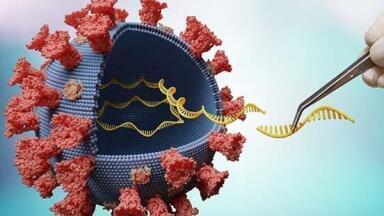 Nucleic Acid Extraction Kits for Pathogens Detection
