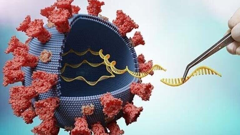 Nucleic Acid Extraction Kits for Pathogens Detection