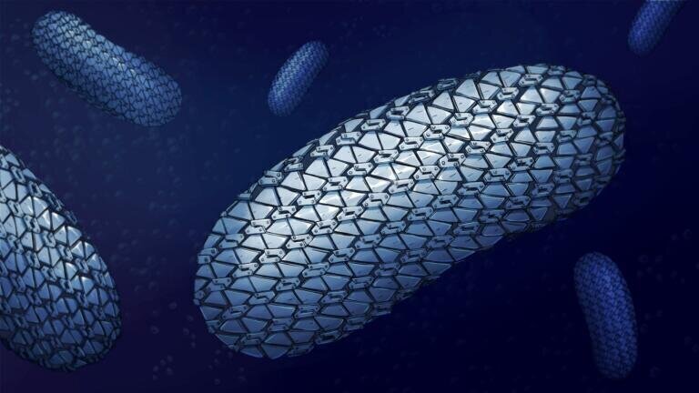 Image of C.diff armour by Dr Lizah van der Aart (Credit: Newcastle University, UK)