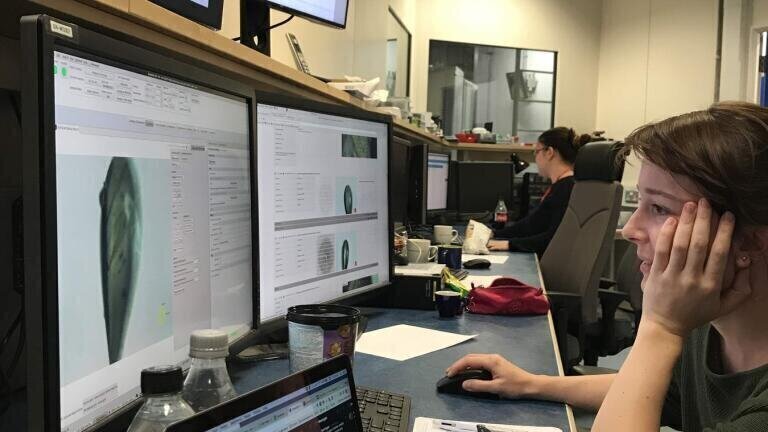 Diamond Synchrotron helps reveal Protective Shield of Superbug