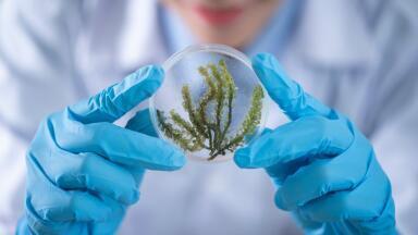 What is a Sustainable Laboratory?