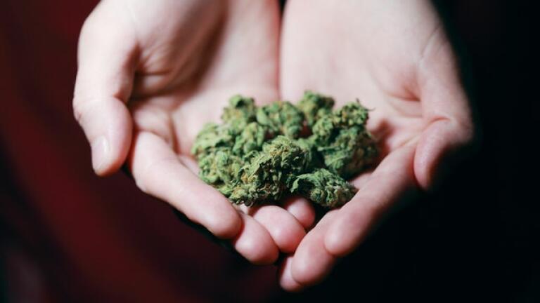 Why is the Medical Cannabis Industry Growing?