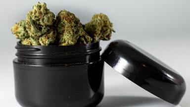 4 Contaminants of Medical Cannabis