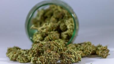 How Many Cannabinoids Are Identified?