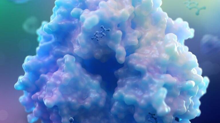 The TPADO enzyme(. Credit: Rita Clare, Montana State University)