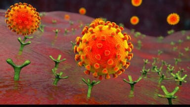 Essential Tools for COVID-19 Omicron Research