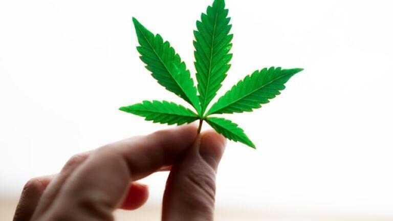 What is Strain Analysis for Medical Cannabis?