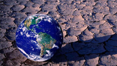 Integra Commits to Sustainability