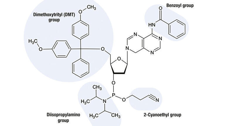 Figure 1: Protecting groups using the example of an adenosine based phosphoramidite.