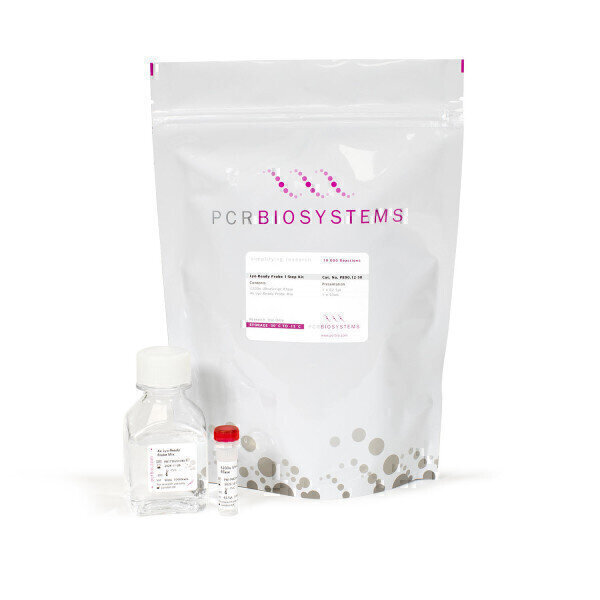 New ultra-sensitive lyo-ready PCR reagents unlock lower detection limits within lyophilised multiplex diagnostic assays - Vimarsana News
