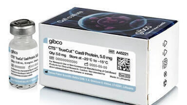 Cas9 Protein for Clinical Genome Editing Research    