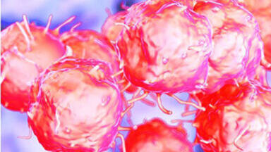 Clinical-grade Recombinant Proteins for Cell Therapy