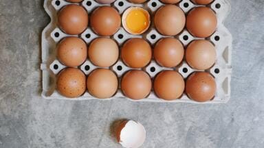 What Are the Different Kinds of Bacteria in Food?