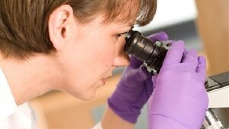 Partnership to Advance Surgical Visualisation across Endovascular Aortic Care
