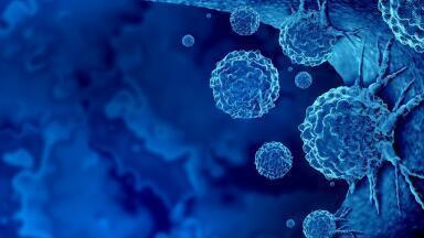 Aptamers for Cancer Diagnosis and Therapy