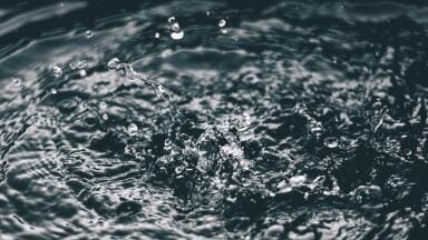 What is the Coliform Count?