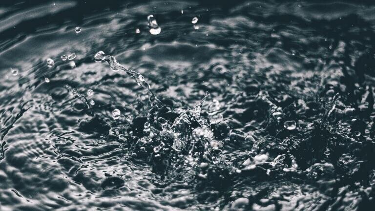 What is the Coliform Count?