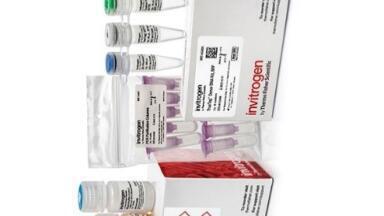 New Gene Tagging Kits