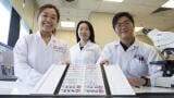 Study Pinpoints how Fatty Liver Disease Increases Vascular Disease Risk