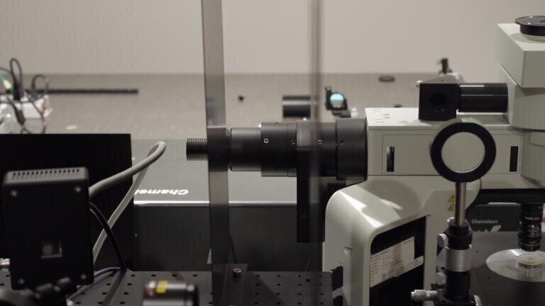 Hamamatsu Photonics Succeeds in Creating a Technology that Upgrades the Spatial Resolution of Two-photon Excitation Fluorescence Microscopy