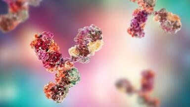 Polyspecific Antibodies for Cancer Research