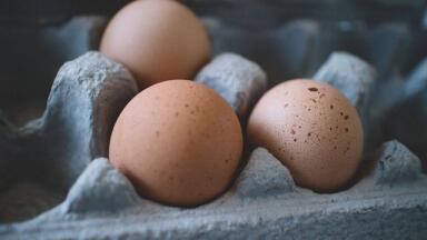 Can You Test for Salmonella in Food?