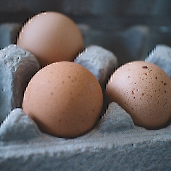 Can You Test for Salmonella in Food? - Vimarsana News