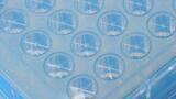 Microplate Seal Enables High Precision Repeat Analysis