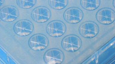 Microplate Seal Enables High Precision Repeat Analysis
