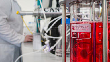 What is the role of Hydrolysates in Biotherapeutics Manufacturing?