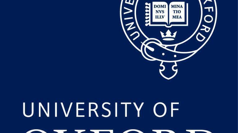 Polarised light and Nanowires advance Computing Capability