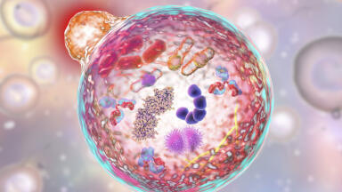 Ready-to-Use Protein and Cell Lysates for Cellular Metabolism Research