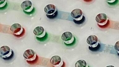 Pre-clinical Screening Technology Increases Cancer Test Numbers