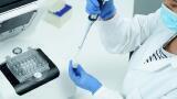 Hydrogel Reagent Kits for Agarose Encapsulation and 3D Cell Culture Research