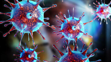 Optimised Lentiviral Vectors to Speed Up Your Research