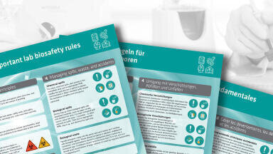 The Safety Poster that no Lab Should be Without