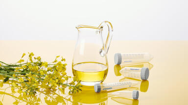 Sustainable Tubes from Cooking Oil Waste