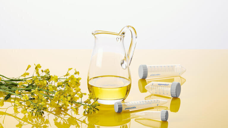 Sustainable Tubes from Cooking Oil Waste