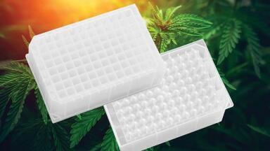 Optimised Microplate for Cannabis Sample Processing
