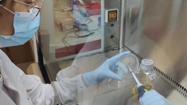 Eurostars Grant to support GBM Treatment Project