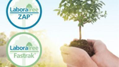 LaboraTree Planting Scheme Gets Greener