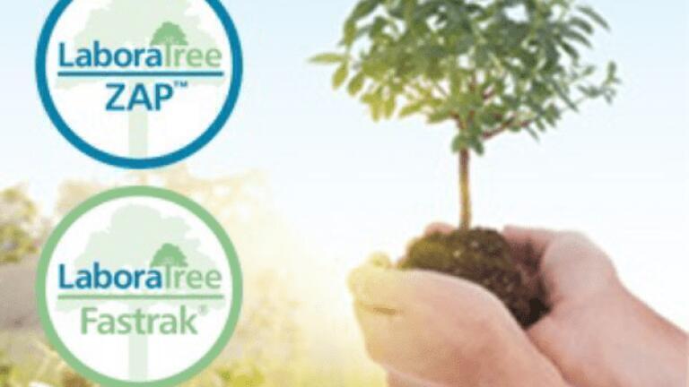 LaboraTree Planting Scheme Gets Greener Labmate Online