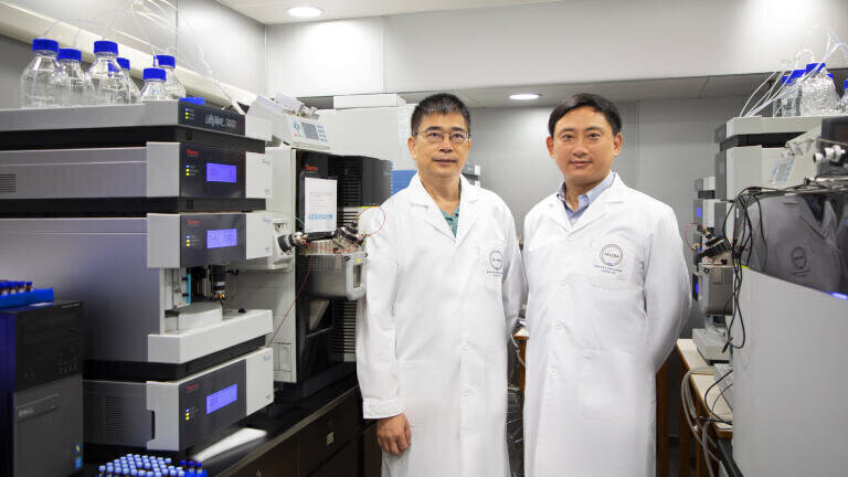 Study Identifies Link Between Plasma Metabolites and COVID-19 Antibody Levels in Recovered Patients