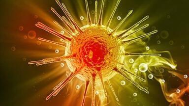 Virus-based Tools for Cell Engineering