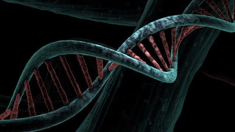 How Can Click Chemistry Help with DNA Labelling?