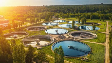 Determining the Elemental Content in Sewage Sludge