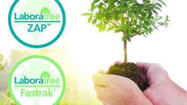 Turn Your Tips into Twice as Many Trees