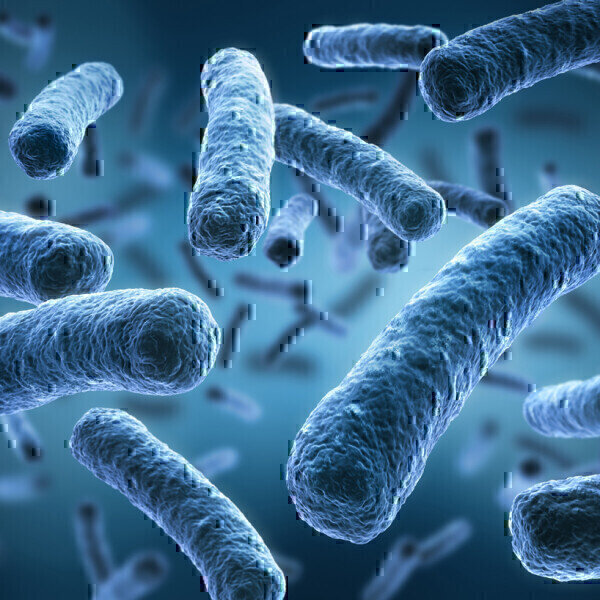 Multiple Independent Studies Demonstrate Superiority of Legiolert® for the Detection of Legionella pneumophila Labmate Online - Vimarsana News